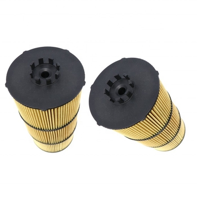30% T/T Advance A4721842425 P582506 A4711800009 Engine Oil Filter for Transmission