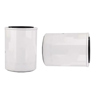 1000395855 WB202G Oil Filter for Diesel Engine within Hydwell