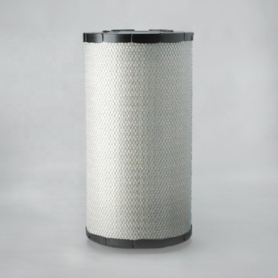 Air Filter for Truck Tractor Engines P782106 2453818N MX504530 3841905 AF782106 89288971