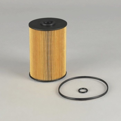 Other Car Fitment EF-1301 Fuel Filter FF5733 B222100000701 EF-1301