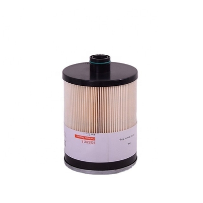 OEM Acceptable Fuel Water Separator Fuel Filter FS53015 Customised for Customisation