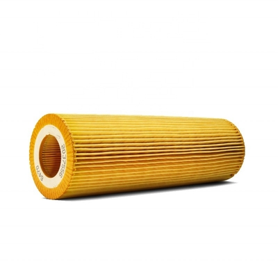 Replaceable Oil Filter Element 2625884 P953329 Lf17486 1742032 1742037 for Dc9 Engines