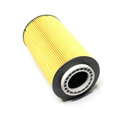 2151728 2234788 HU12009 LF16368 P40069 Filter for Truck Engine System Oil Filtration