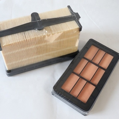 PA31011 Hydwell Air Filter for Truck Model Tractor Excavator Engines Parts P636749 7010031