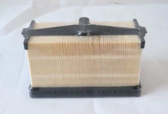 PA31011 Hydwell Air Filter for Truck Model Tractor Excavator Engines Parts P636749 7010031