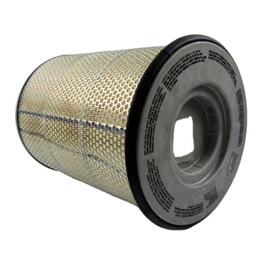 Garment Shops Air Filter RS4966 21834199 8149064 AF25631 P782857 1533860 F026400117