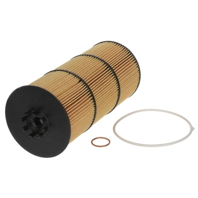 Truck Engine Parts Lube Oil Filter Cartridge P551005 LF17511 For Tractors Year Other