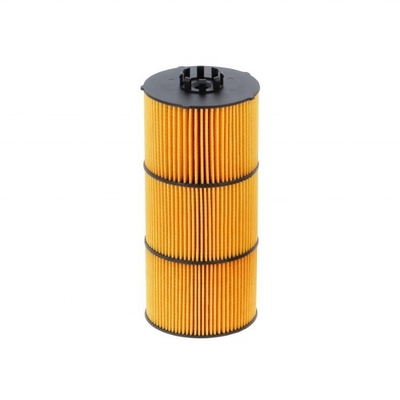 Auto Oil Filter 4721841125 4721841025 Hu12001z Lf17511 Lp5090 A4721800509 for Jaguar 880