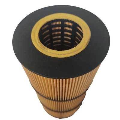 Diesel Engine Oil Filter P7505 LF17511 LF673 E510H07D129 with Filter Paper and Iron