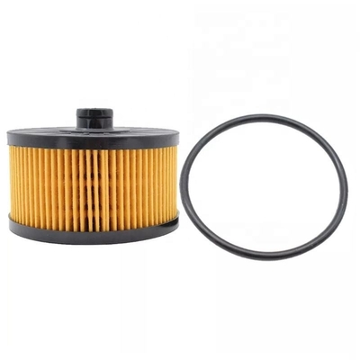 152095084R Hydwell Truck Engine Parts Lube Oil Filter Element for Other Year Tractors