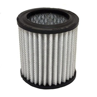 Hydwell Air Filter Element 320/12957 320-12957 AF25656 42406 32012957 for Other Year