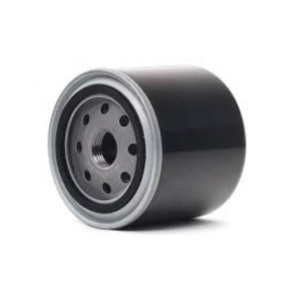 Truck Model Durable Auto Spare Parts Fuel Filter for ISUZU JS Massey 8971725491