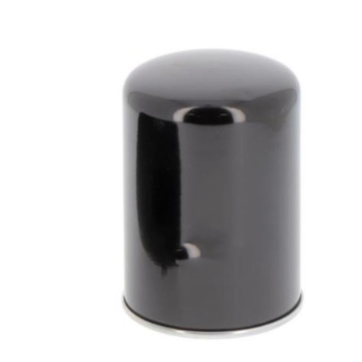 Other Car Fitment T19044 P550020 706 DZ112584 5276312 60231037 2311200 77010793 Oil Filter