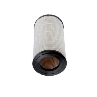 OEM Services Provided Air Filter Element AF25619 P777871 with Fiberglass Paper