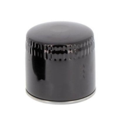 Car Parts Oil Filter P550939 15208BN30A 72161316 92319 1504140 148459 2630795 AM38441 110200