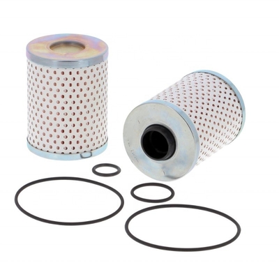 Iron FS19730 23519978 23521527 23528565 CS8031A FS550460 Fuel Filter for Hydwell