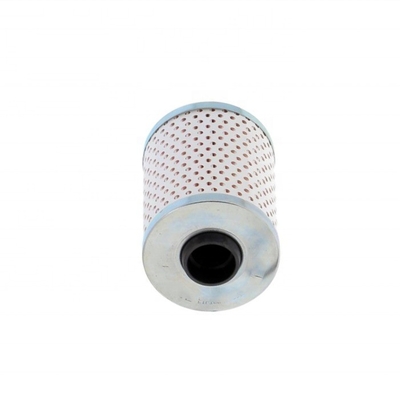 Iron FS19730 23519978 23521527 23528565 CS8031A FS550460 Fuel Filter for Hydwell