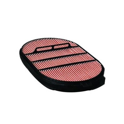 Truck Engine Air Filter Element P608667 P607557 for Industrial Trucks Top- Filtration