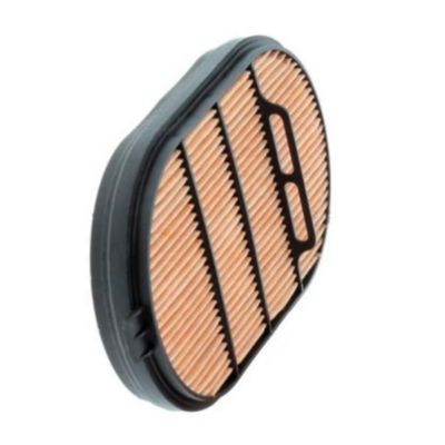 Filberglass Air Filter P601560 H931202090400 for Truck Engine 32925753 5203966 2652C882