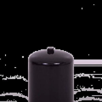 Fuel Filter P557440 720369 FP440F 5194215 TP993 KF1560 for Excavator Engine 95*95*180mm