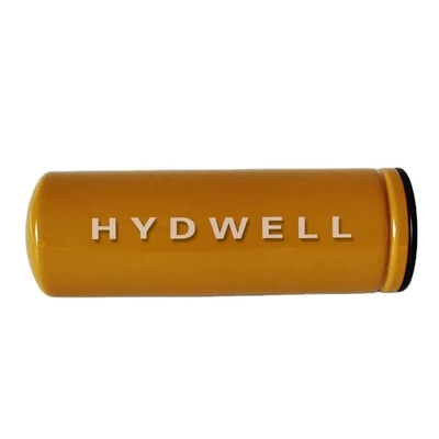1165436 6003723 3222343173E9 4587258 55072323 FF550625 Fuel Filter for Hydwell Excavator