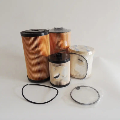 Hydwell Diesel Fuel Filter Element FS19763 FS19764 FS19765 P550849 P550851 5580007857 5580012785 3700572 1025262