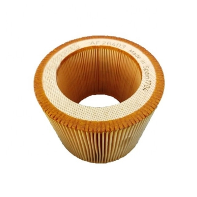 Filter Paper Air Filter Element for Af26403 Hydwell Construction Engine Parts P784578