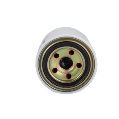 Directly Sell W950121010 Diesel Engine Parts Fuel Filter Element for Loader Tractor