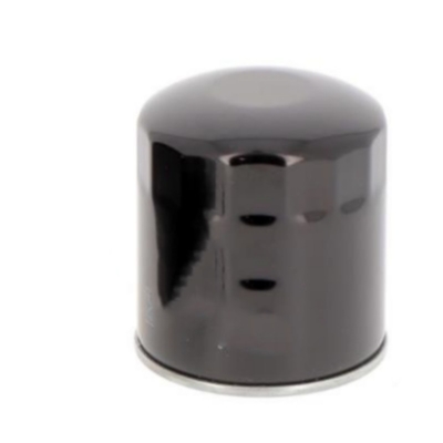 Excavator Diesel Engines Parts Fuel Filter 183-8187 P550049 1347572 CH20196 55923570 2330387304 24363