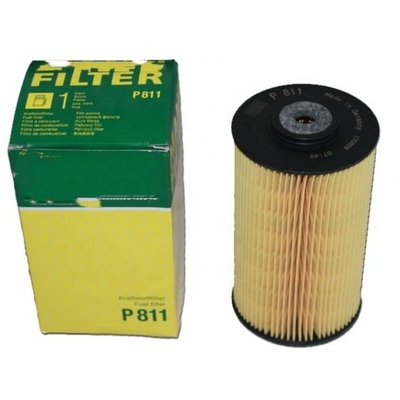 Direct Supply Fuel Filter P811 P550861 3I1212 65125035004 7238513 122209 for Excavator
