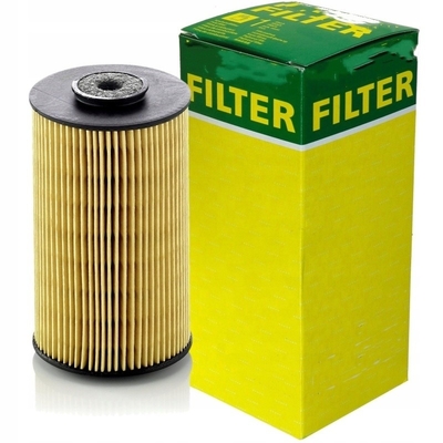 Direct Supply Fuel Filter P811 P550861 3I1212 65125035004 7238513 122209 for Excavator