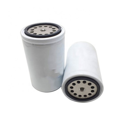 Fuel Filter P502504 525517D1 3460523 5300560 1000012854 2656F843 T28042012 for Truck